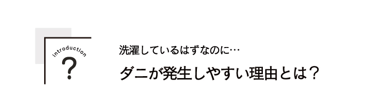 ダニが布団に発生しやすい理由