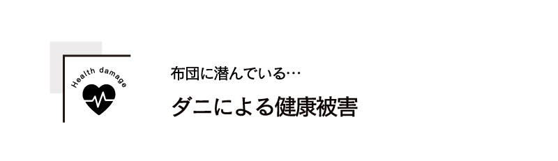 布団に潜んでいる…ダニによる健康被害