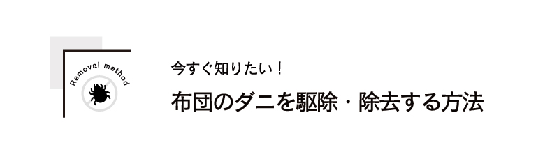 今すぐ知りたい！布団のダニを駆除・除去する方法