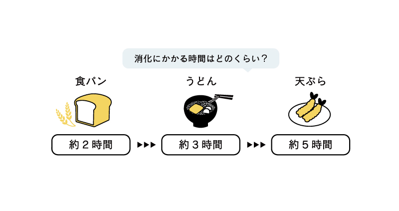 消化にかかる時間はどのくらい？食パン約2時間、うどん約3時間、天ぷら約5時間