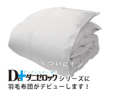 羽毛掛け布団の取り扱いを始めました