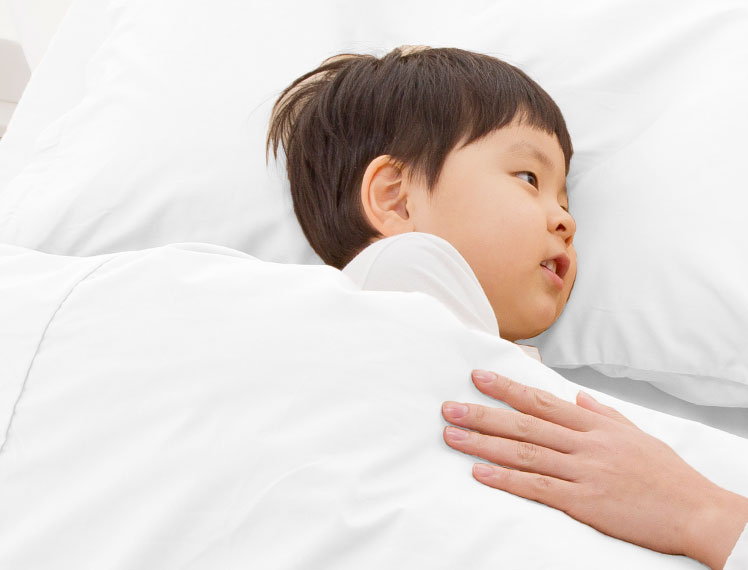 約6年使ってもダニがゼロ