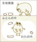 一般的な防ダニふとん断面図